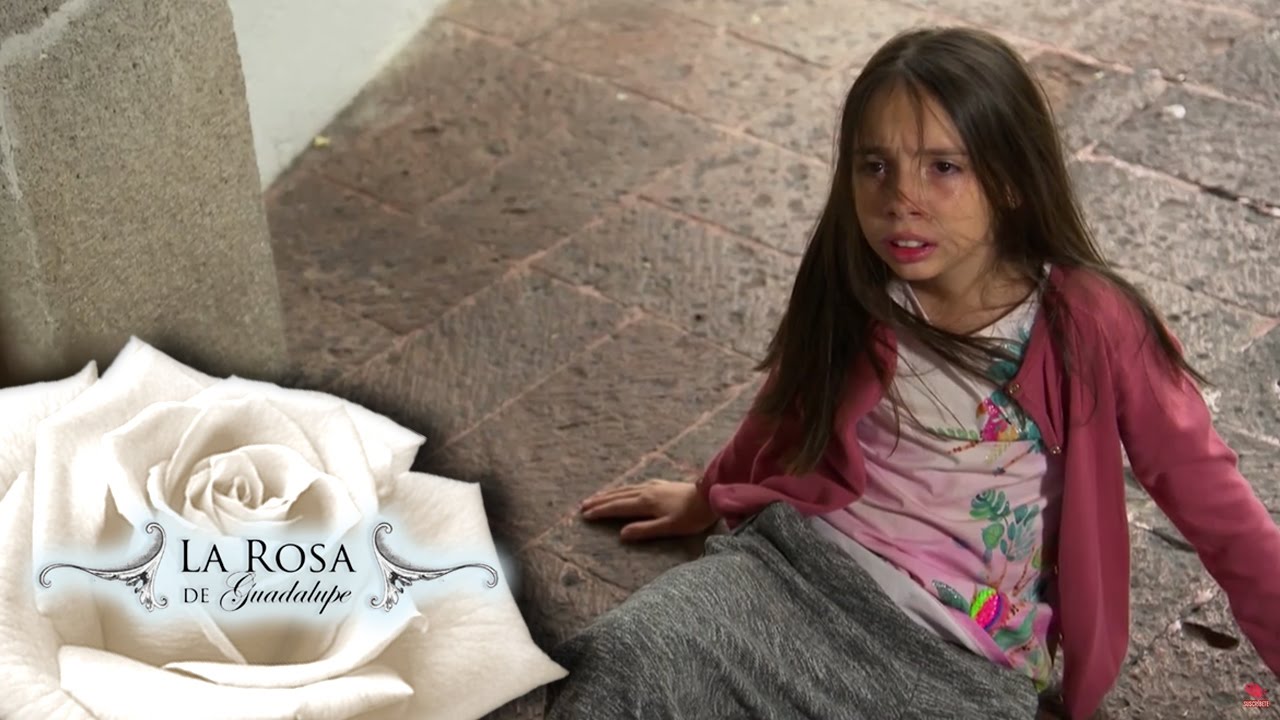 La pequeña flor rosa