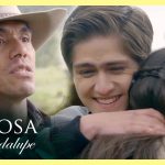 Dos latidos, un alma