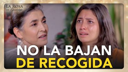 La verdad sobre sus orígenes