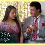 Los amores de la vida